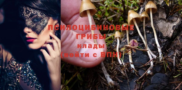 а пвп мука Арсеньев
