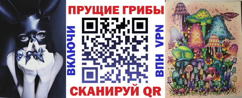 Псилоцибиновые грибы Cubensis  Строитель 